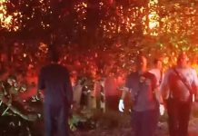 На лелгендарен тренер му изгоре домот во голем пожар (Видео)