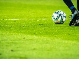 Њукасл 2-1 Хал: Вилок и Хол прерано, Хо ја скрати разликата Фудбалски стадион - Њукасл Премиер лига