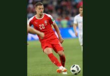 Србија без Милинковиќ-Савиќ против Германија и Холандија - повреда на мускул Сергеј Милинковиќ-Савиќ во дресот на Србија