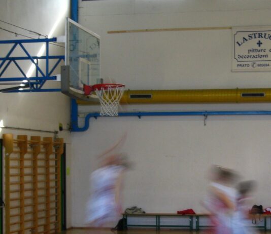 Штип 1933 дебитира во Суперлигата: вечерва Тиквеш во новата сала „Џексон“ Indoor basketball hoop wood court