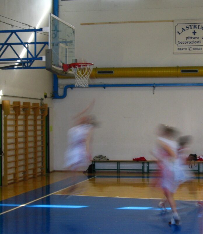 Штип 1933 дебитира во Суперлигата: вечерва Тиквеш во новата сала „Џексон“ Indoor basketball hoop wood court